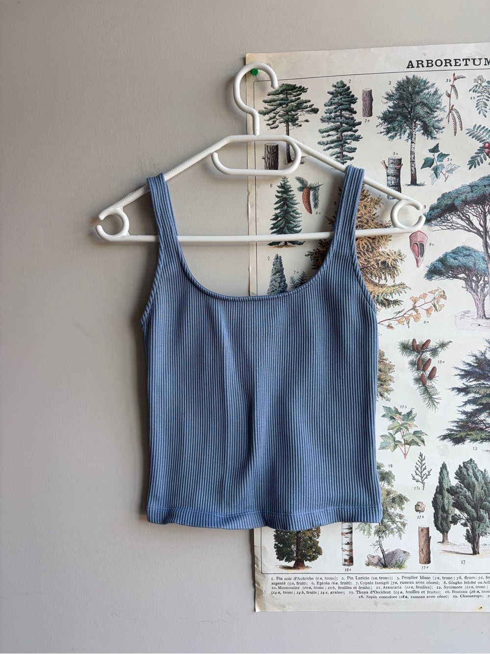 Dynamite Ribbed Scoop Neck Tank Top XS Blue
